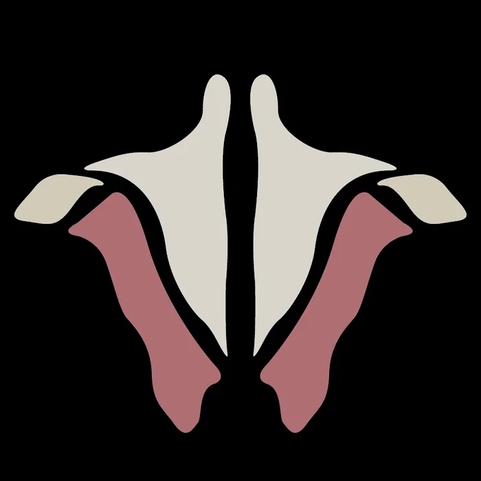 Institute Of Human Anatomy