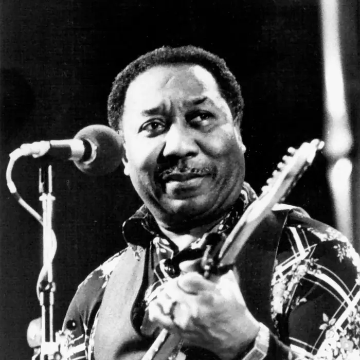 Muddy Waters